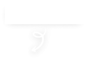 فلش
