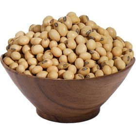 دانه سویا خام
