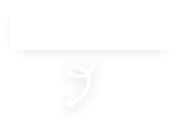فلش